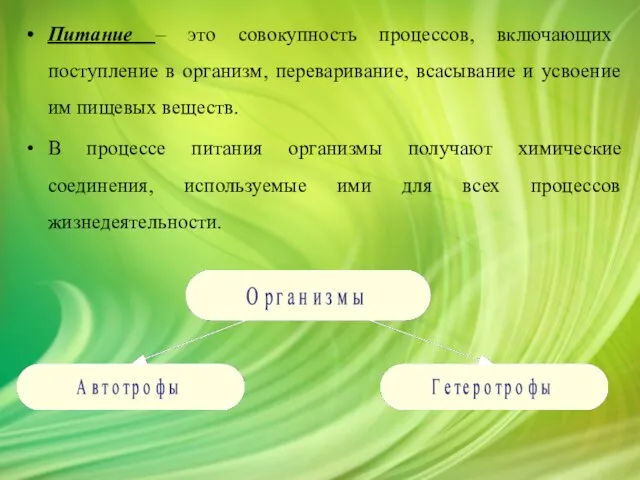 Питание – это совокупность процессов, включающих поступление в организм, переваривание, всасывание и