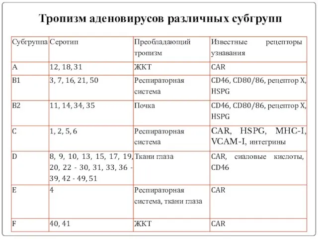 Тропизм аденовирусов различных субгрупп