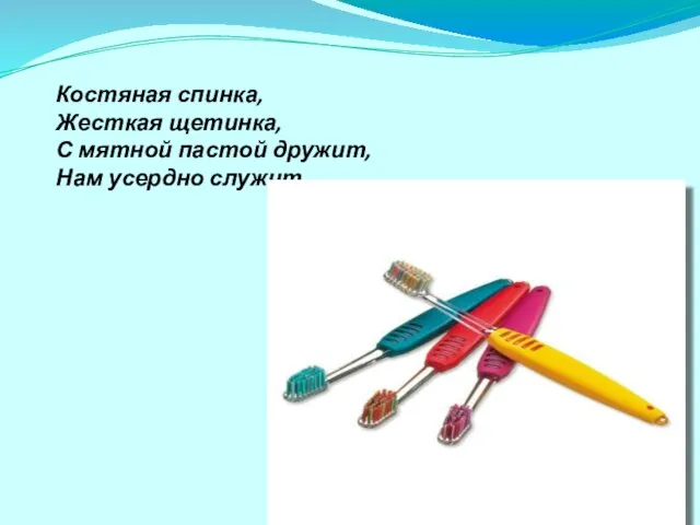 Костяная спинка, Жесткая щетинка, С мятной пастой дружит, Нам усердно служит.