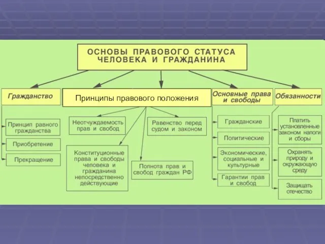 Принципы правового положения