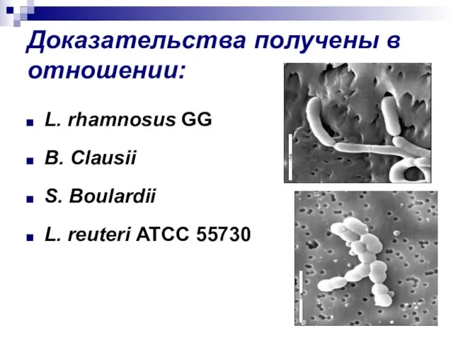 Доказательства получены в отношении: L. rhamnosus GG B. Clausii S. Boulardii L. reuteri ATCC 55730