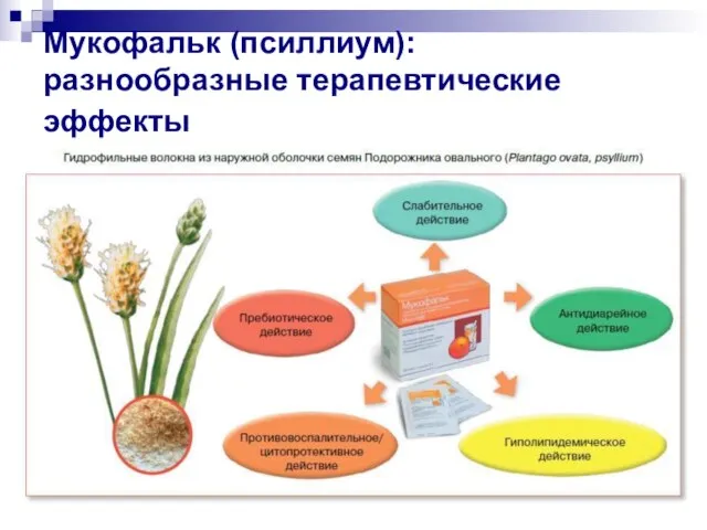 Мукофальк (псиллиум): разнообразные терапевтические эффекты