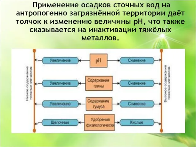 Применение осадков сточных вод на антропогенно загрязнённой территории даёт толчок к изменению