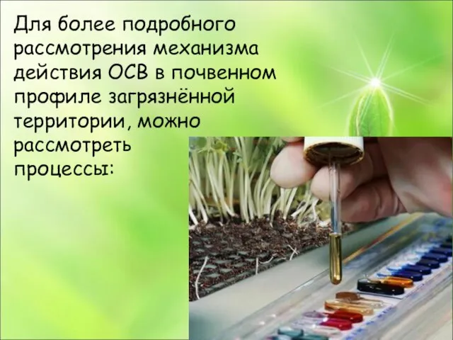 Для более подробного рассмотрения механизма действия ОСВ в почвенном профиле загрязнённой территории, можно рассмотреть процессы: