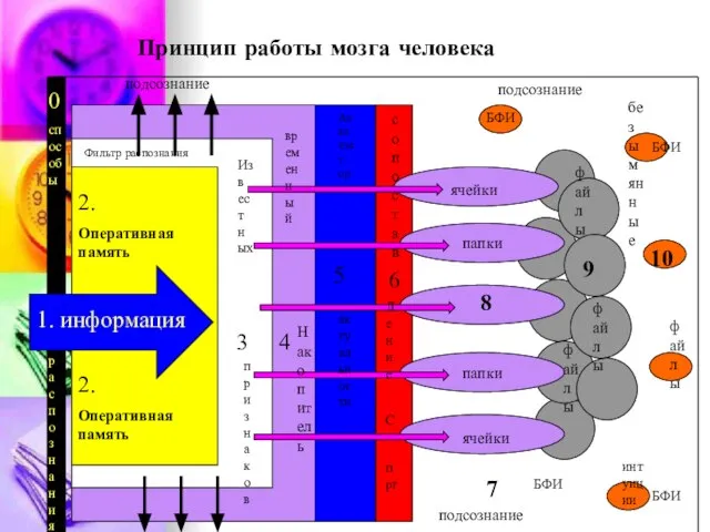 Принцип работы мозга человека временный Накопитель Анализа т ор актуальности сопостав Ление