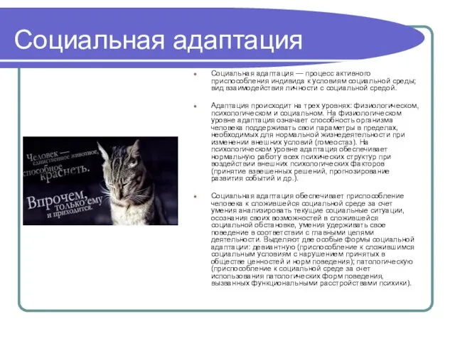 Социальная адаптация Социальная адаптация — процесс активного приспособления индивида к условиям социальной