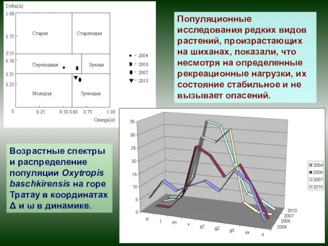 Возрастные спектры и распределение популяции Oxytropis baschkirensis на горе Тратау в координатах