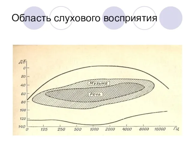 Область слухового восприятия