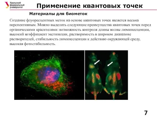 Применение квантовых точек Материалы для биометок Создание флуоресцентных меток на основе квантовых