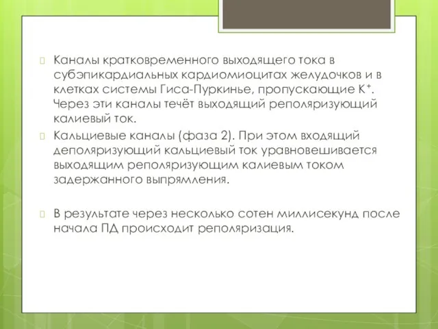 Каналы кратковременного выходящего тока в субэпикардиальных кардиомиоцитах желудочков и в клетках системы