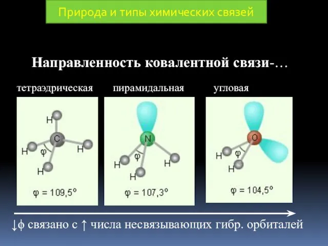 Направленность ковалентной связи-… Природа и типы химических связей