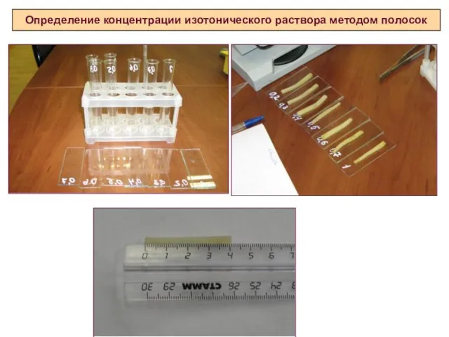 Определение концентрации изотонического раствора методом полосок