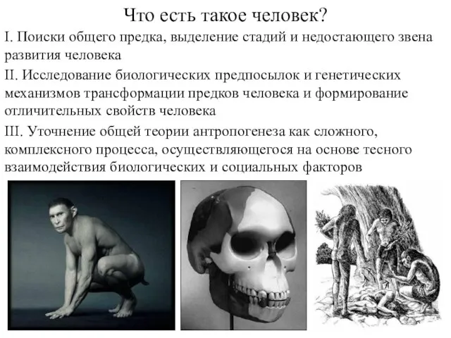 Что есть такое человек? I. Поиски общего предка, выделение стадий и недостающего