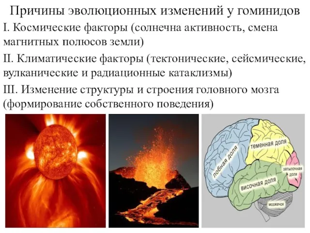 Причины эволюционных изменений у гоминидов II. Климатические факторы (тектонические, сейсмические, вулканические и