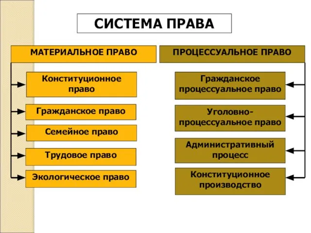 СИСТЕМА ПРАВА МАТЕРИАЛЬНОЕ ПРАВО ПРОЦЕССУАЛЬНОЕ ПРАВО Конституционное право Гражданское право Семейное право