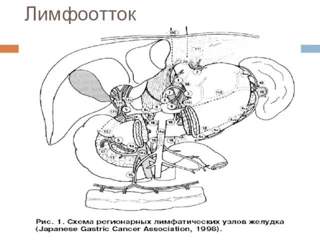 Лимфоотток