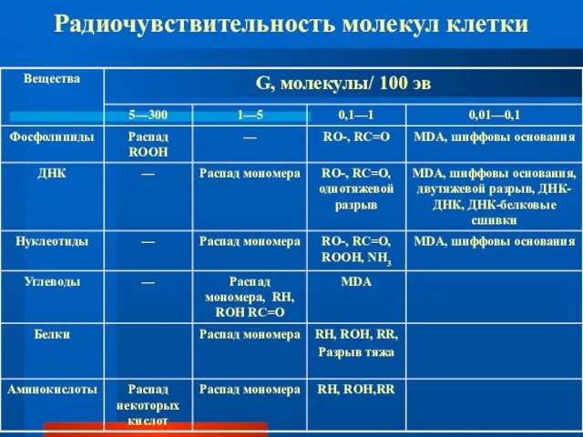 Радиочувствительность молекул клетки