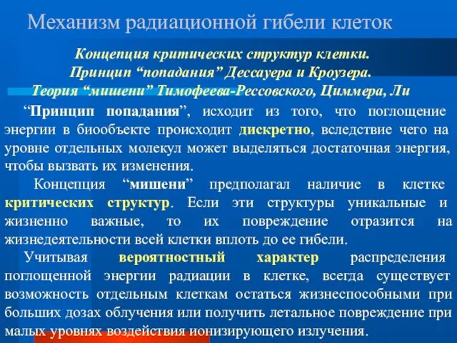 Механизм радиационной гибели клеток Концепция критических структур клетки. Принцип “попадания” Дессауера и