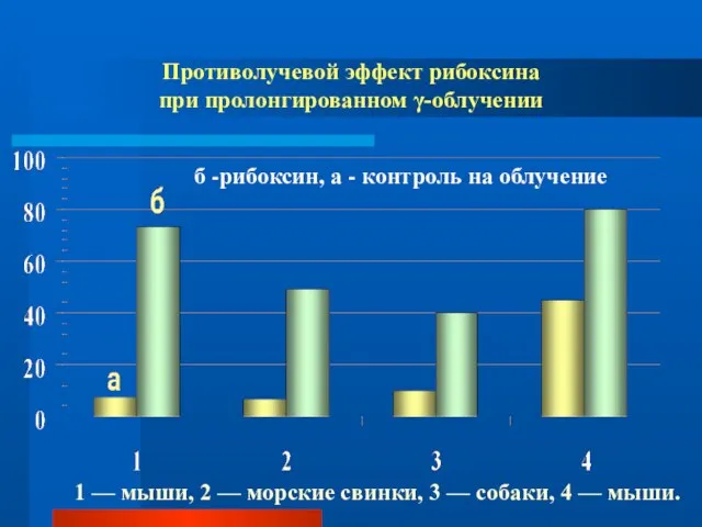 Противолучевой эффект рибоксина при пролонгированном γ-облучении 1 — мыши, 2 — морские