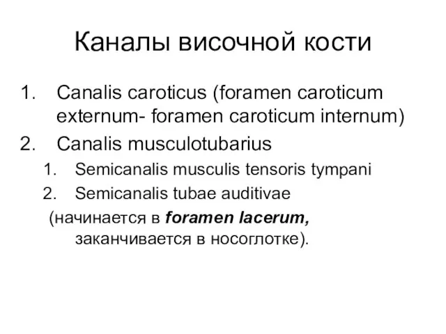 Каналы височной кости Canalis caroticus (foramen caroticum externum- foramen caroticum internum) Canalis
