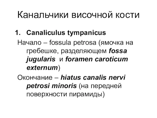 Канальчики височной кости Canaliculus tympanicus Начало – fossula petrosa (ямочка на гребешке,