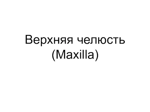 Верхняя челюсть (Maxilla)