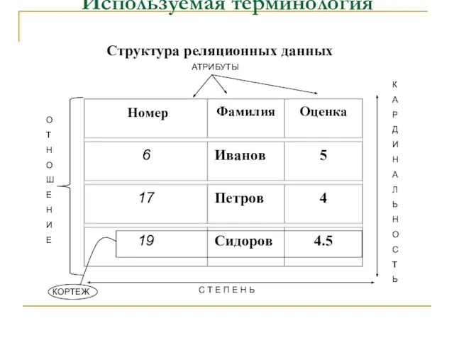 Используемая терминология О Т Н О Ш Е Н И Е С