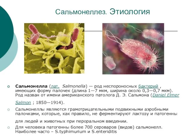 Сальмонеллез. Этиология Сальмонелла (лат. Salmonella) — род неспороносных бактерий , имеющих форму