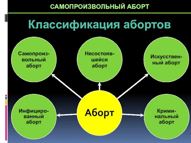 Классификация абортов САМОПРОИЗВОЛЬНЫЙ АБОРТ