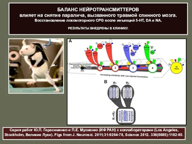 Серия работ Ю.П. Герасименко и П.Е. Мусиенко (ИФ РАН) с коллабораторами (Los