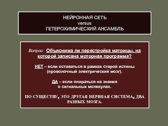 НЕЙРОННАЯ СЕТЬ versus ГЕТЕРОХИМИЧЕСКИЙ АНСАМБЛЬ Вопрос: Объяснима ли перестройка матрицы, на которой