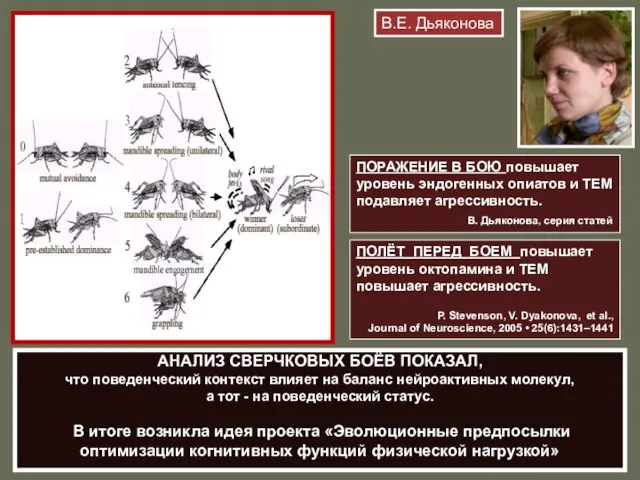 АНАЛИЗ СВЕРЧКОВЫХ БОЁВ ПОКАЗАЛ, что поведенческий контекст влияет на баланс нейроактивных молекул,