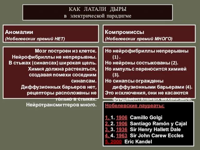 Аномалии (Нобелевских премий НЕТ) Мозг построен из клеток. Нейрофибриллы не непрерывны. В