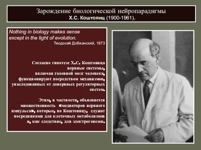 Зарождение биологической нейропарадигмы Х.С. Коштоянц (1900-1961). Nothing in biology makes sense еxсept