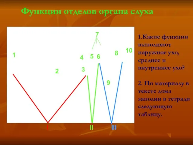 I II III C помощью текста (с.80-81) и рисунка ответьте на вопросы: