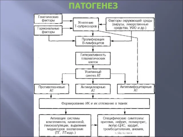 ПАТОГЕНЕЗ