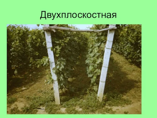 Двухплоскостная