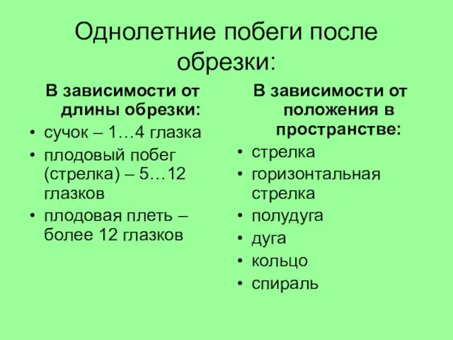 Однолетние побеги после обрезки: В зависимости от длины обрезки: сучок – 1…4