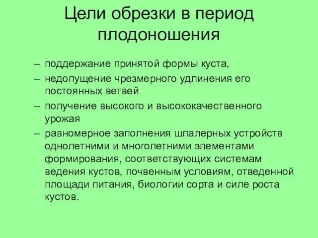 Цели обрезки в период плодоношения поддержание принятой формы куста, недопущение чрезмерного удлинения