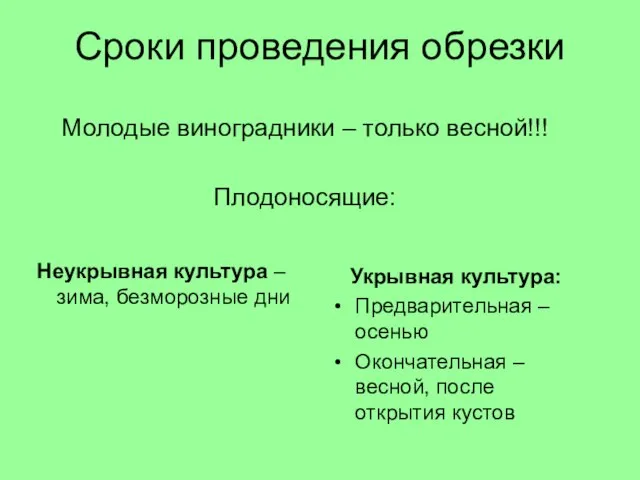 Сроки проведения обрезки Молодые виноградники – только весной!!! Плодоносящие: Укрывная культура: Предварительная