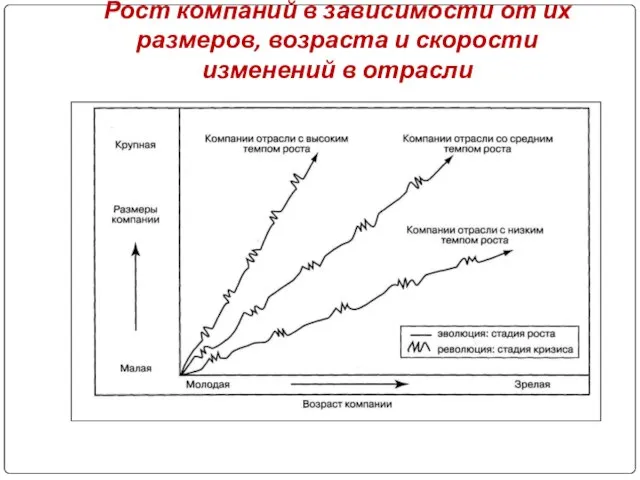 Рост компаний в зависимости от их размеров, возраста и скорости изменений в отрасли