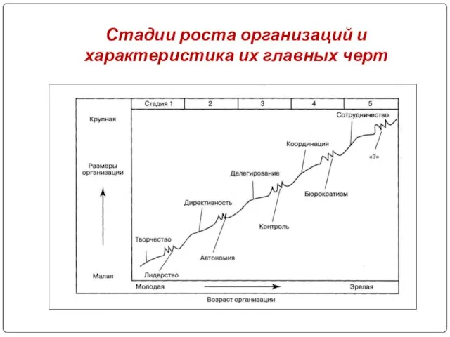 Стадии роста организаций и характеристика их главных черт