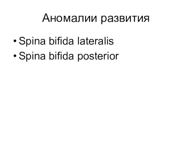 Аномалии развития Spina bifida lateralis Spina bifida posterior
