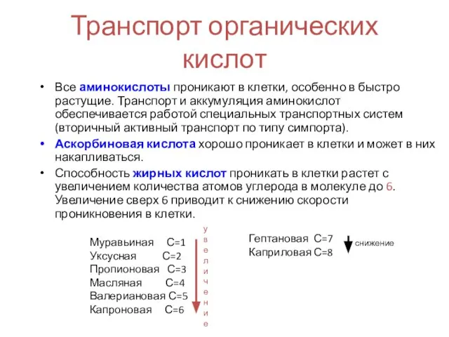 Транспорт органических кислот Все аминокислоты проникают в клетки, особенно в быстро растущие.