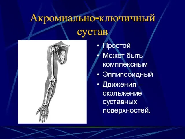 Акромиально-ключичный сустав Простой Может быть комплексным Эллипсоидный Движения – скольжение суставных поверхностей.