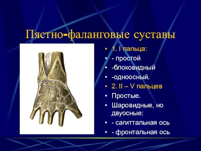 Пястно-фаланговые суставы 1. I пальца: - простой -блоковидный -одноосный. 2. II –