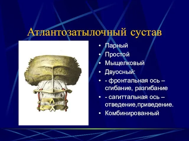 Атлантозатылочный сустав Парный Простой Мыщелковый Двуосный: - фронтальная ось – сгибание, разгибание