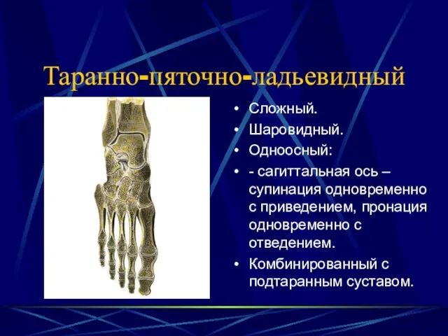 Таранно-пяточно-ладьевидный Сложный. Шаровидный. Одноосный: - сагиттальная ось – супинация одновременно с приведением,