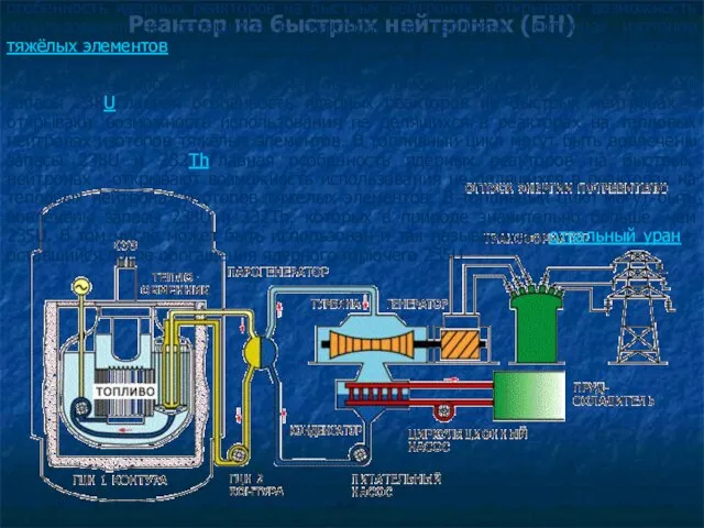 Реактор на быстрых нейтронах (БН) Главная особенность ядерных реакторов на быстрых нейтронахГлавная