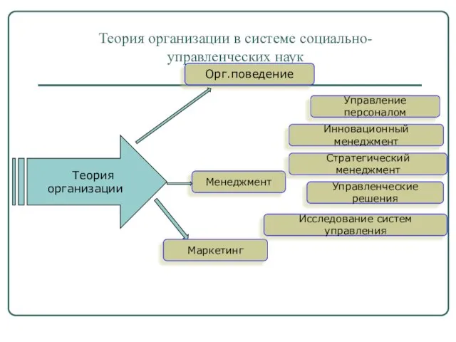 Теория организации в системе социально-управленческих наук Теория организации Орг.поведение Управление персоналом Маркетинг